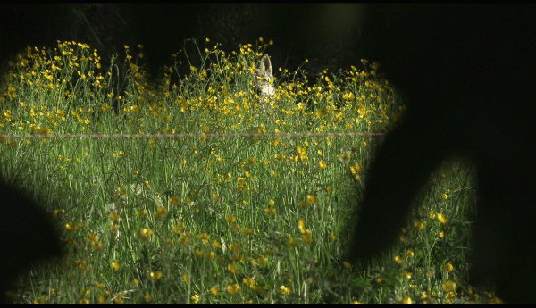 Photographie de l'association Bis'Arts