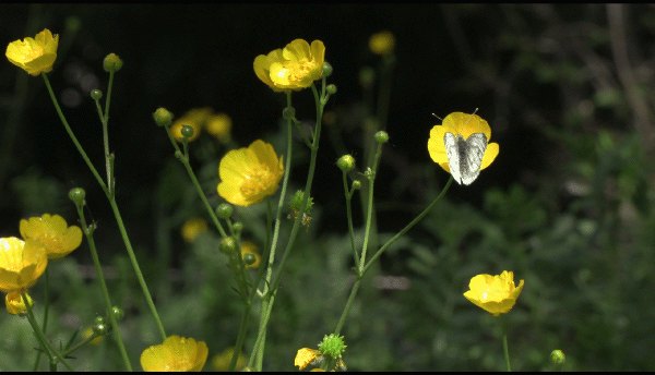 Photographie de l'association Bis'Arts