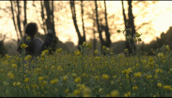 Photographie de l'association Bis'Arts